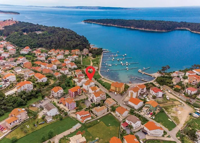 Awesome In With Wifi * Palit